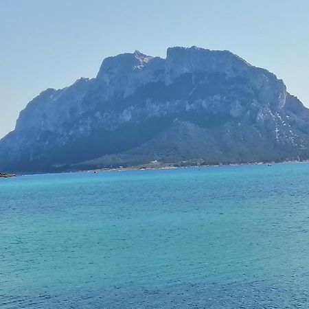 Aria Di Vacanza - Molara Loiri Porto San Paolo Екстер'єр фото