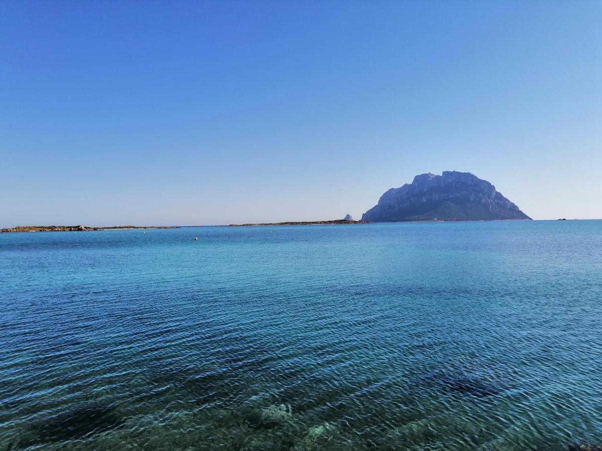 Aria Di Vacanza - Molara Loiri Porto San Paolo Екстер'єр фото
